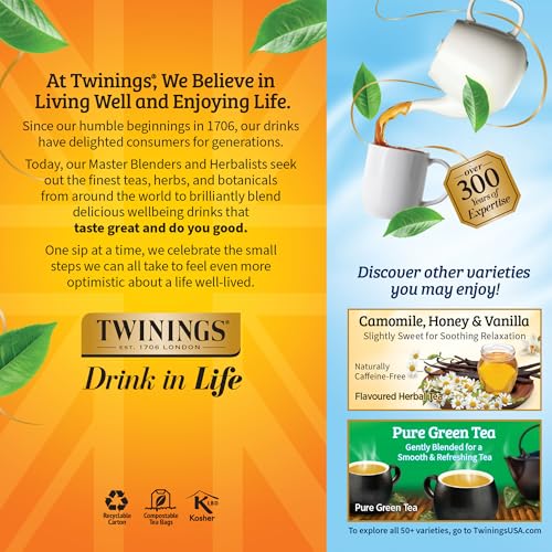 Twinings English Breakfast Black Tea Individually Wrapped Bags, 20 Count (Pack of 1), Flavourful, Robust, Caffeinated, Enjoy Hot or Iced, 20 Teabags