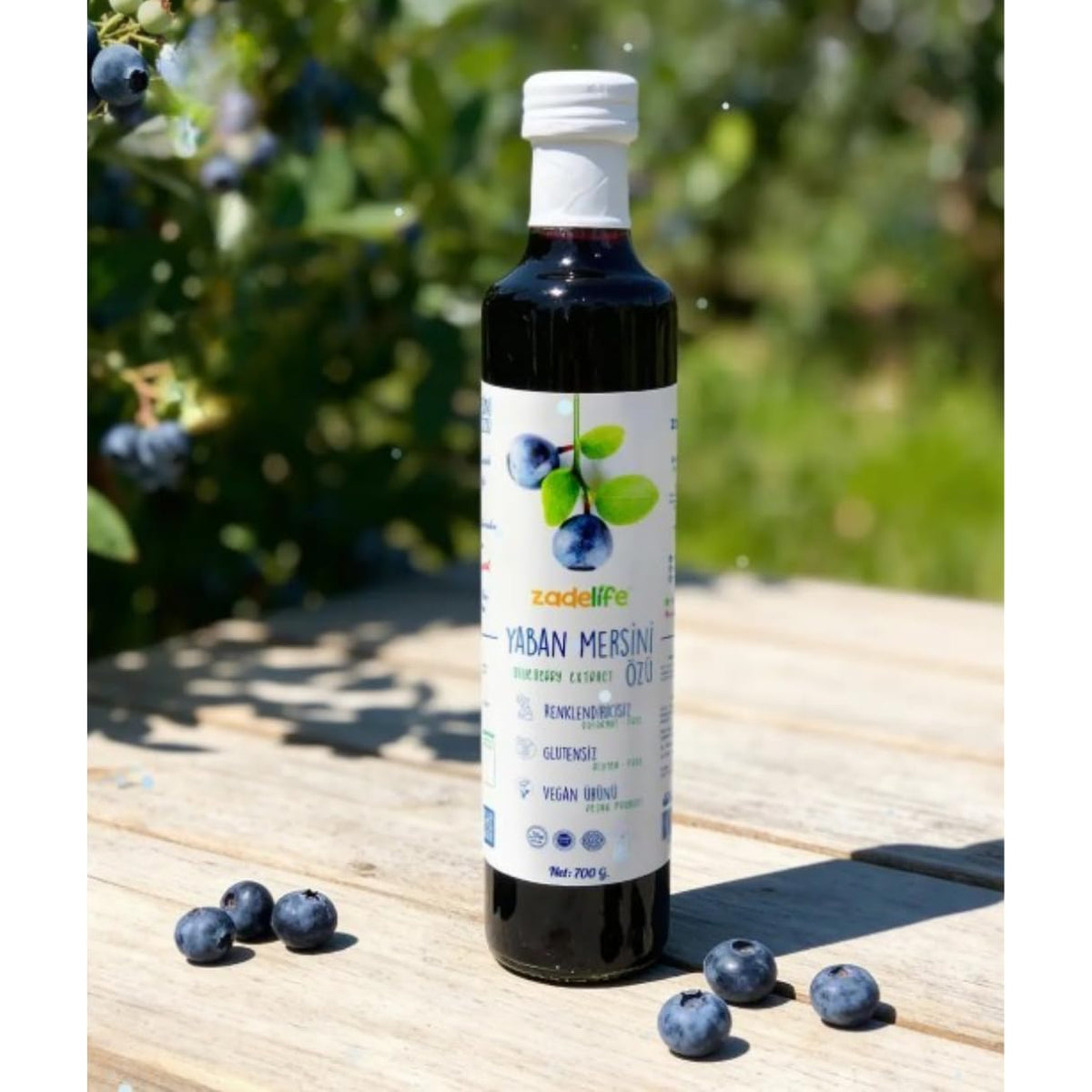 Natural Blueberry Fruit Juice Extract 700g, Pack of 6
