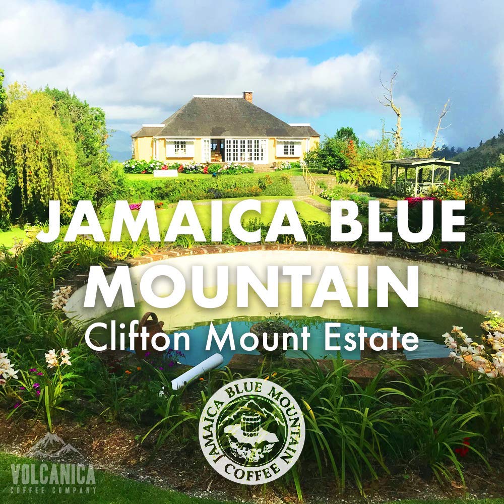 Jamaica Blue Mountain Coffee, Clifton Mount Estate, 100% Certified, Whole Bean, Fresh Roasted, 5 lbs