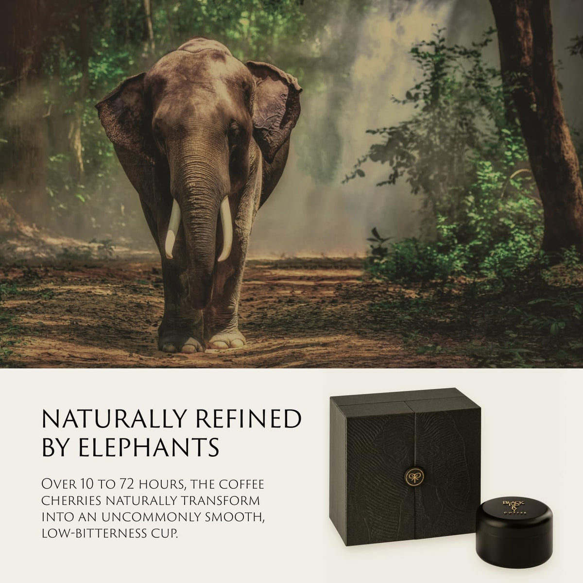 Black Ivory Coffee - Naturally Refined by Elephants | Whole Bean Coffee