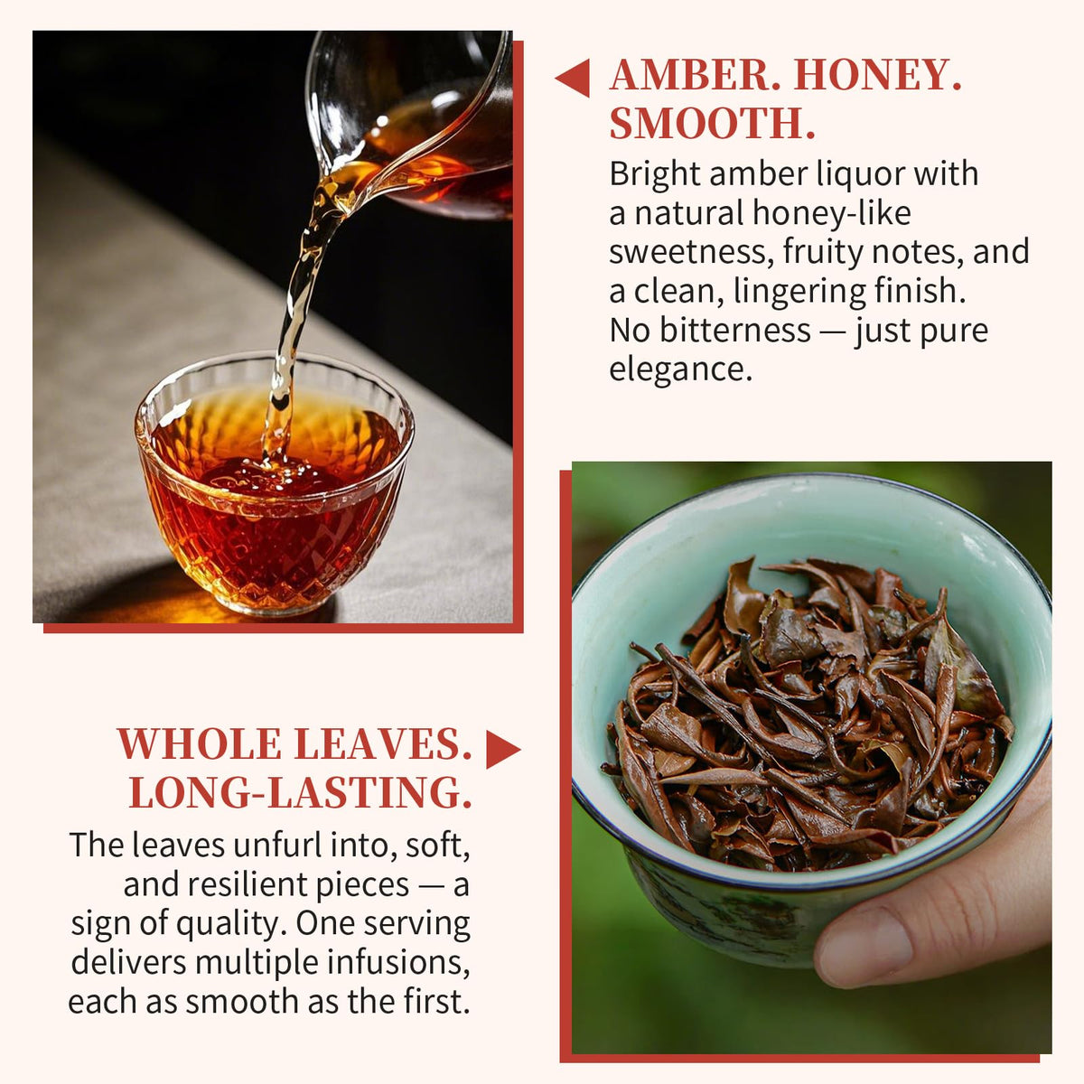 Yuexi Taiwan Oriental Beauty Oolong Tea 100g/3.5oz, White Oolong Loose Leaf with Natural Honey Floral Taste, 125 Cups Hand Harvested & Slow Charcoal Roasted High Mountain Tea, 东方美人 台湾高山茶 顺滑蜜香