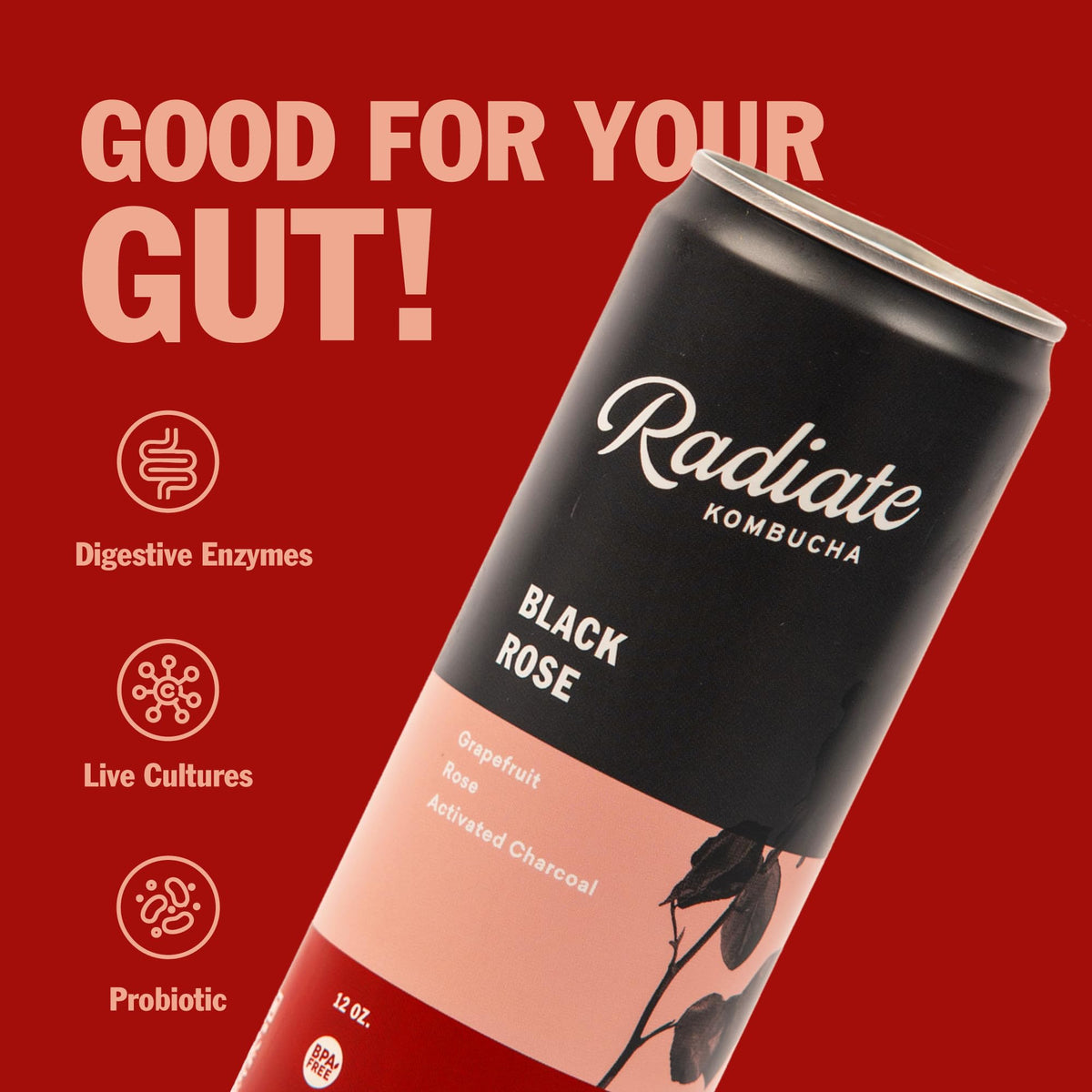 Radiate Kombucha Organic Raw Kombucha Drink