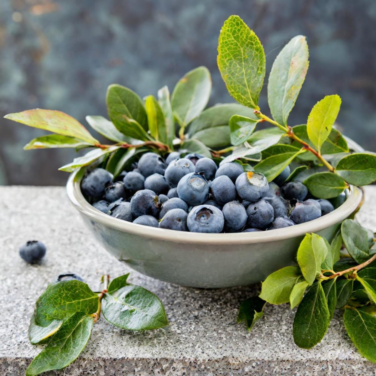 Natural Blueberry Fruit Juice Extract 700g, Pack of 6