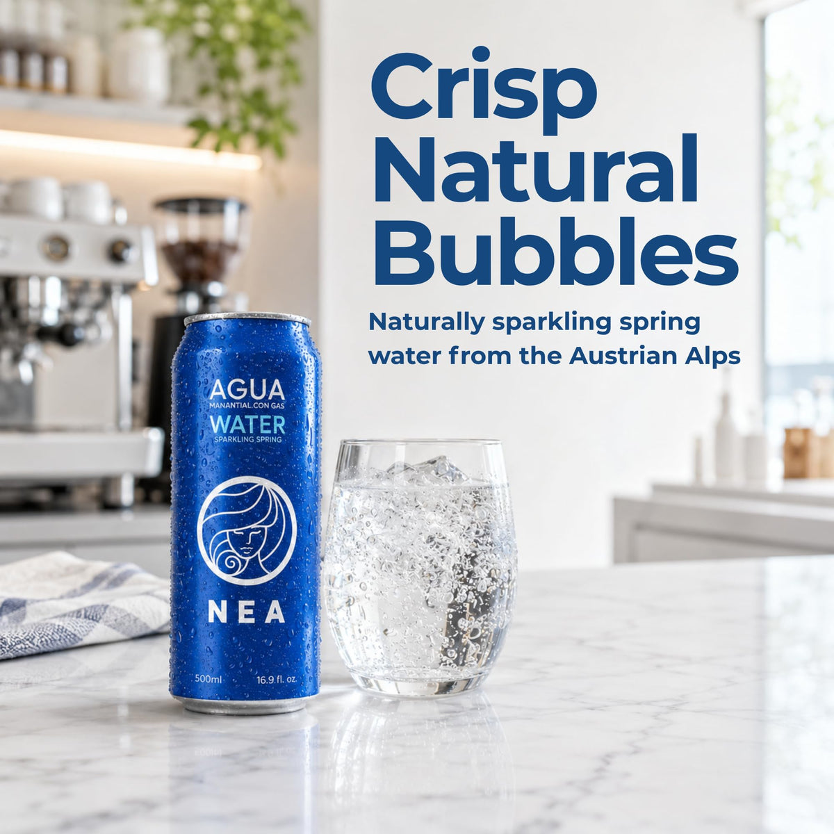 NEA Austrian Alps Natural Sparkling Spring Water 16.9 oz