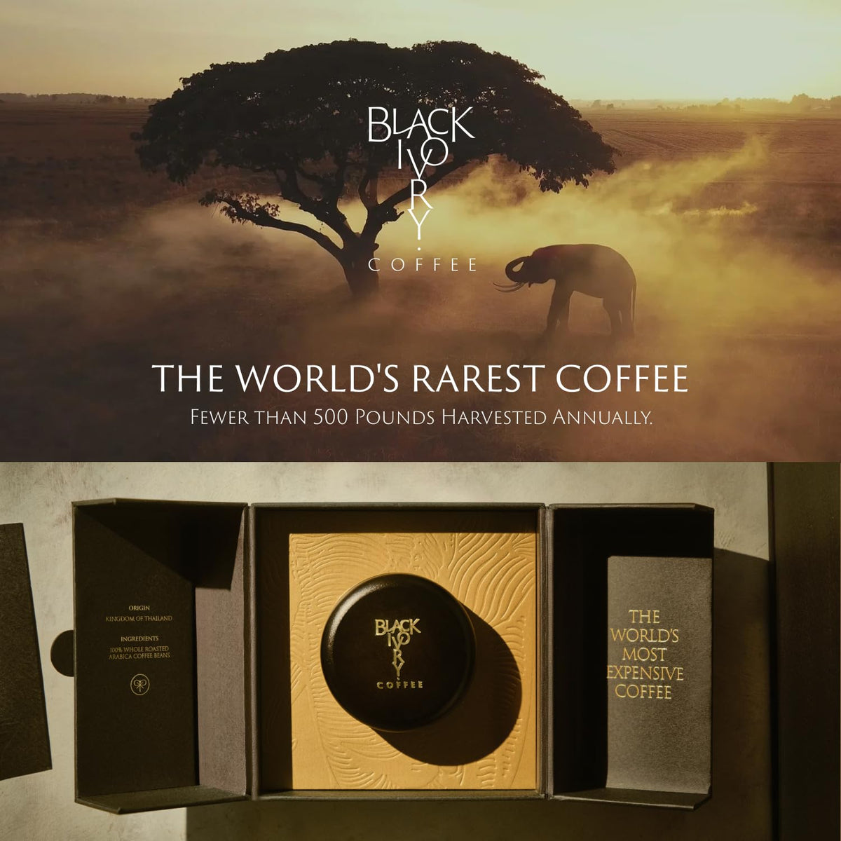 Black Ivory Coffee - Naturally Refined by Elephants | Whole Bean Coffee