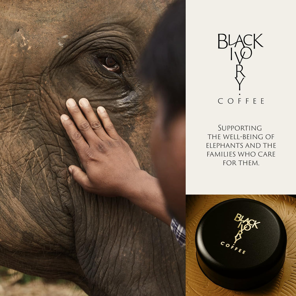 Black Ivory Coffee - Naturally Refined by Elephants | Whole Bean Coffee