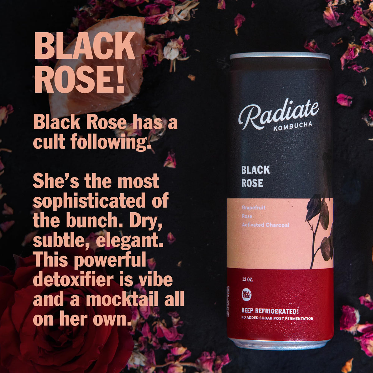 Radiate Kombucha Organic Raw Kombucha Drink
