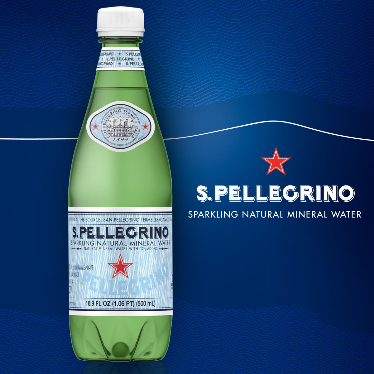 S.Pellegrino Sparkling Natural Mineral Water 16.9 oz, 12 Pack