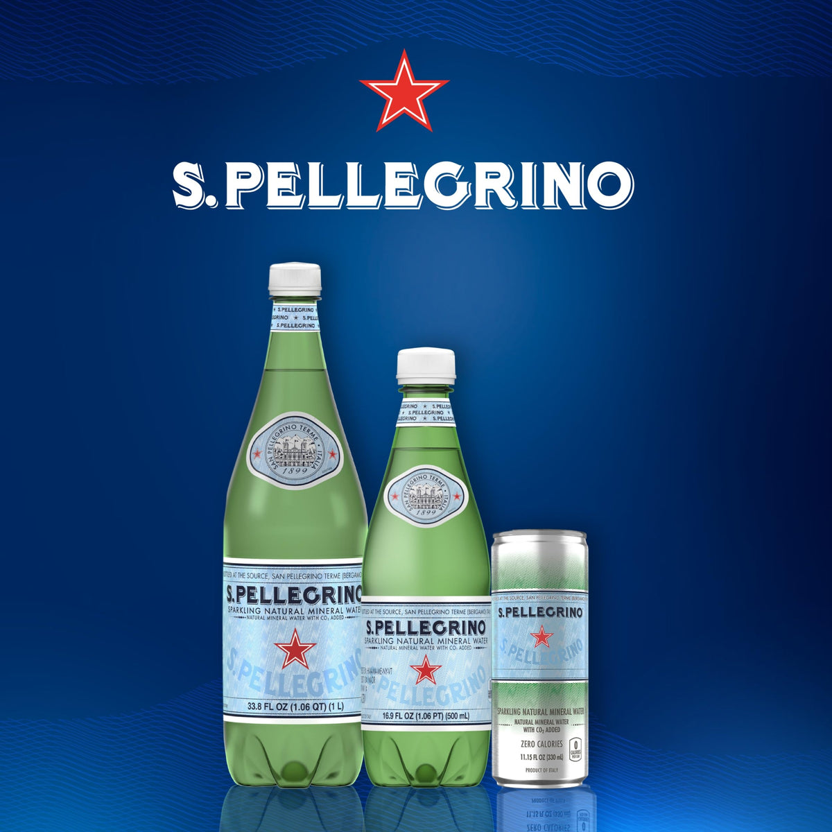 S.Pellegrino Sparkling Natural Mineral Water 16.9 oz, 12 Pack