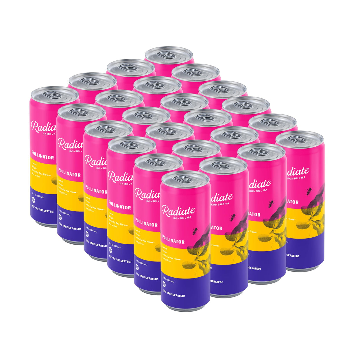 Radiate Organic Raw Kombucha Probiotic Tea Drink