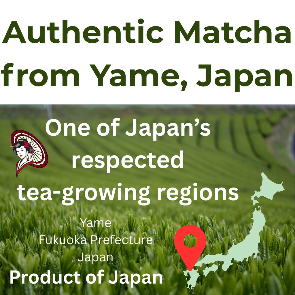 Japanese Culinary Matcha Powder – Bulk Matcha for Latte, Smoothies & Baking – Smooth Flavor, Low Bitterness – Product of Yame Japan – 1kg / 20kg Bag