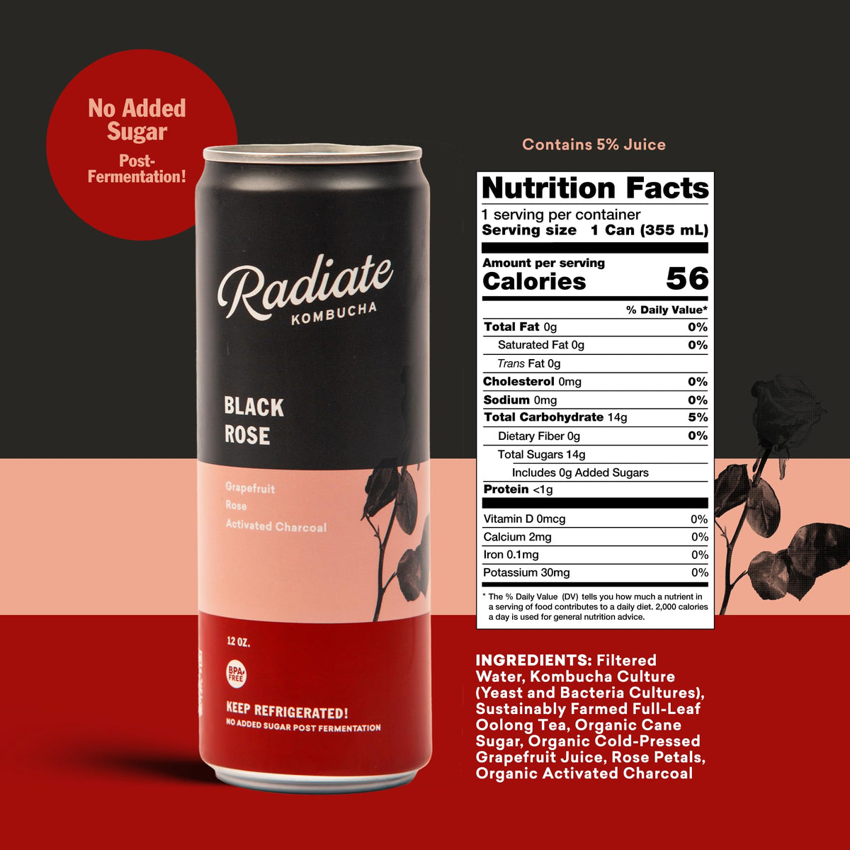 Radiate Kombucha Organic Raw Kombucha Drink