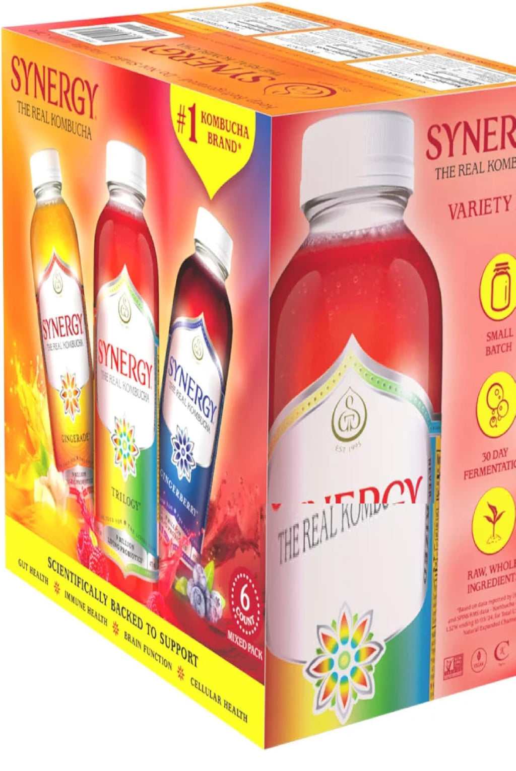 Organic Raw Kombucha – Variety Pack – Organic Probiotic Fermented Tea – Vegan, Gluten‑Free, Low Sugar – 16 fl oz Bottles (Pack of 6 Bottles)